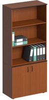 Шкаф для документов полузакрытый высокий ДР 319 + ДР 313